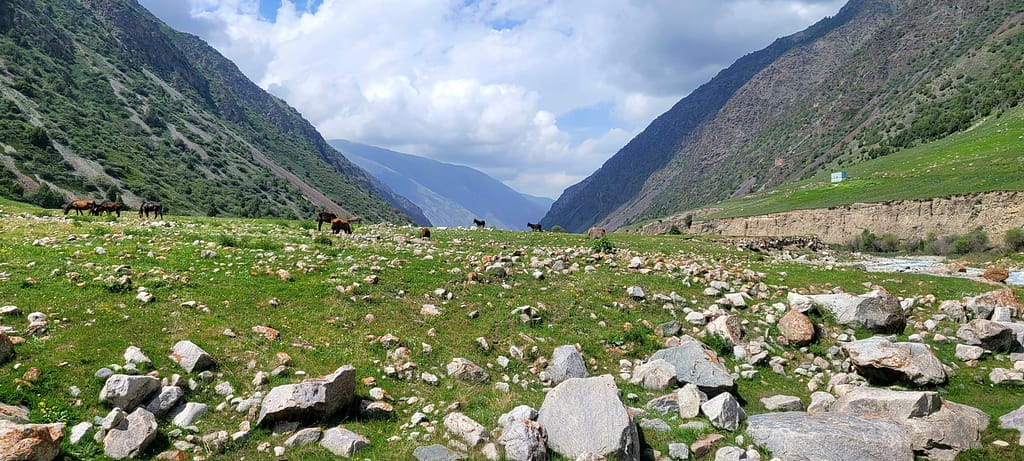Horses grazing in a rocky green valley between the mountains near Belogorka Waterfall in Kyrgyzstan