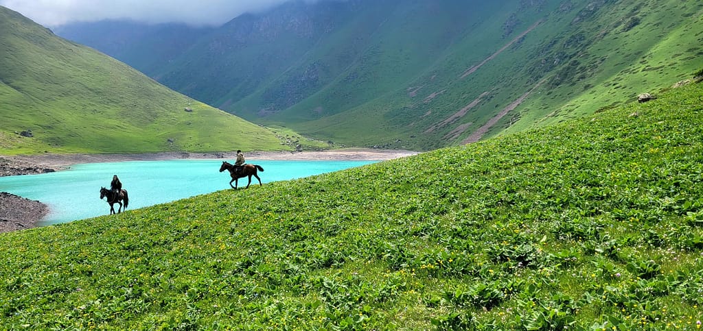 Horses galloping down hill near Koltor Lake