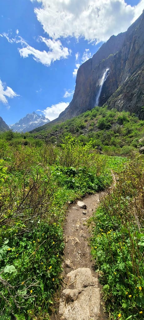Hiking trail surrounded by wildflowers and greenery leading toward Belogorka Waterfall and snow-capped peaks in the distance
