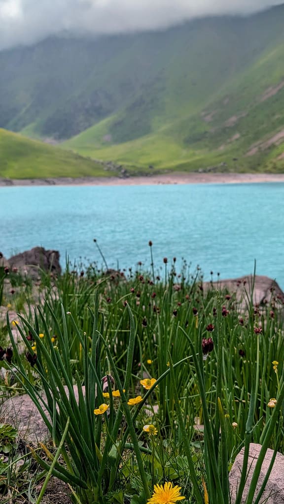 View of flowers with backdrop of Koltor Lake