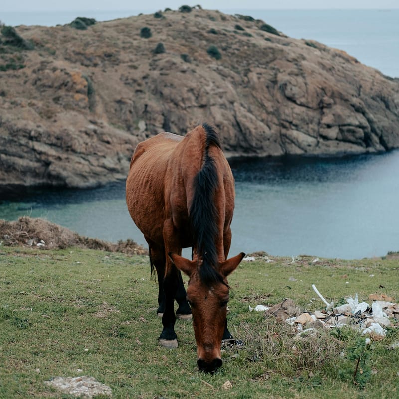 Horse Riding in Kyrgyzstan